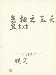 万相之王天蚕土豆txt