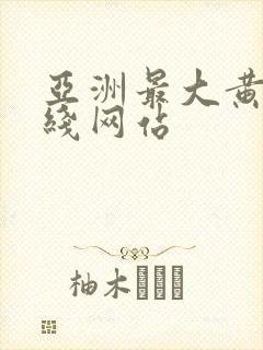 亚洲最大黄色在线网站