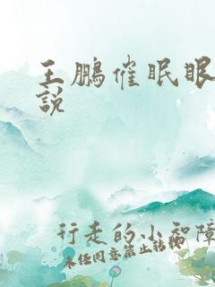 王鹏催眠眼镜小说