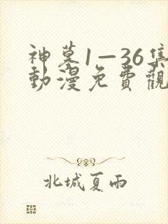 神墓1—36集动漫免费观看流畅