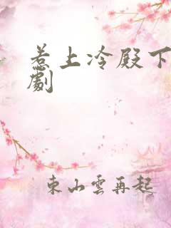 惹上冷殿下电视剧