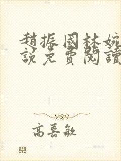 赵振国林婉清小说免费阅读