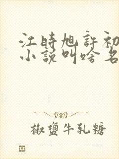 江时旭许初念的小说叫啥名字