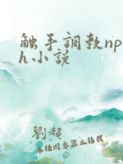 触手调教np高h小说