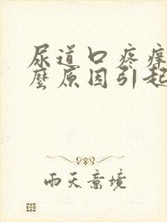 尿道口疼痒是什么原因引起的