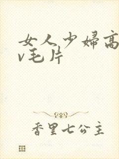 女人少妇高潮av毛片