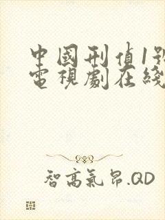 中国刑侦1号案电视剧在线观看