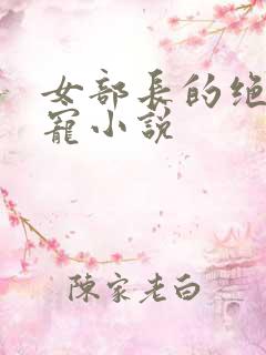 女部长的绝色男宠小说