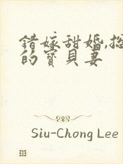 错嫁甜婚,总裁的宝贝妻