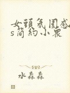 女头氛围感ins简约小众