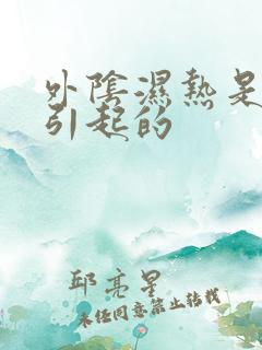 外阴湿热是什么引起的