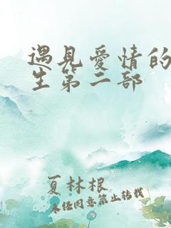 遇见爱情的利先生第二部