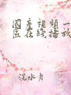 国产视频一区二区在线播放