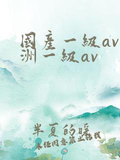 国产一级av亚洲一级av