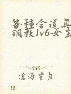 各种含道具高h调教1v6女主