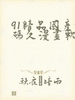 91精品国产乱码久漫画软件