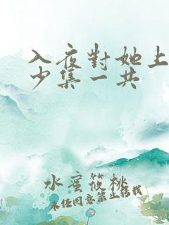 入夜对她上瘾多少集一共