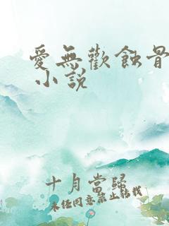 爱无欢蚀骨惊情 小说