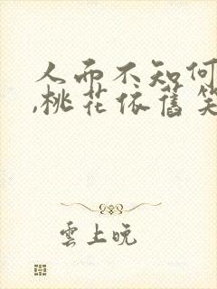 人面不知何处去,桃花依旧笑春风故事