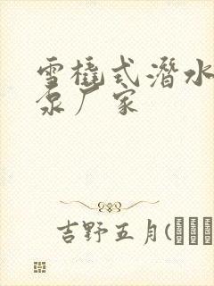 雪橇式潜水轴流泵厂家