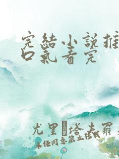 完结小说推文一口气看完