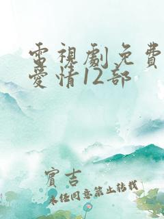 电视剧免费乡村爱情12部