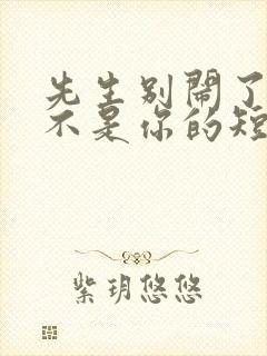 先生别闹了新娘不是你的短剧免费看