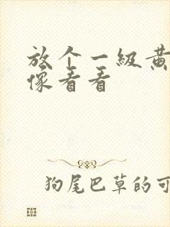 放个一级黄色录像看看
