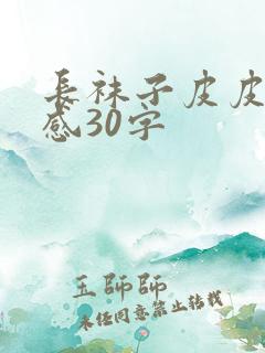 长袜子皮皮读后感30字