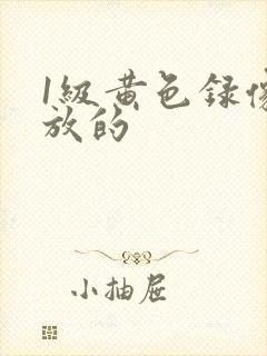 1级黄色录像能放的