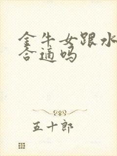 金牛女跟水瓶男合适吗