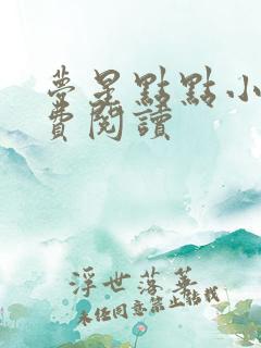 梦星点点小说免费阅读