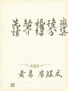 先结婚后恋爱剧情介绍分集