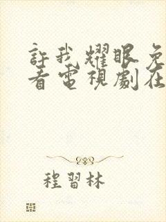 许我耀眼免费观看电视剧在线观看