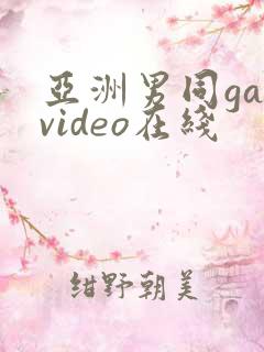 亚洲男同gayvideo在线