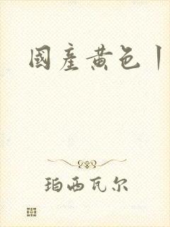 国产黄色丨级片