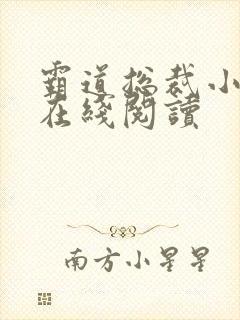 霸道总裁小娇妻在线阅读