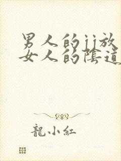 男人的jj放到女人的阴道里视频