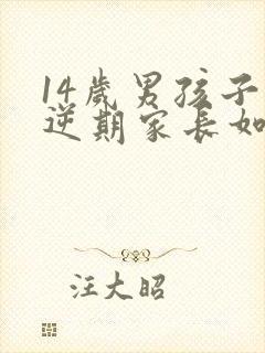 14岁男孩子叛逆期家长如何管教