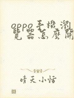 oppo手机浏览器怎么关闭禁止访问