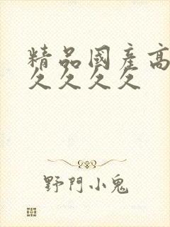 精品国产高清久久久久久