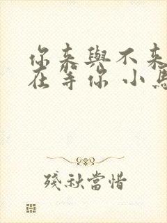 你来与不来我都在等你 小马歌