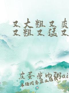 又大粗又爽国产又粗又猛又,爽又黄的视频