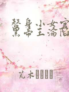 替身小女官,腹黑帝王沦陷了结局