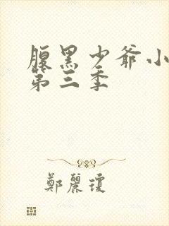 腹黑少爷小甜妻第三季