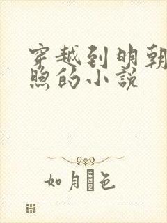 穿越到明朝朱高煦的小说