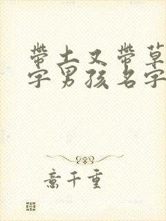 带土又带草字的字男孩名字