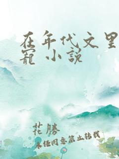 在年代文里当团宠 小说
