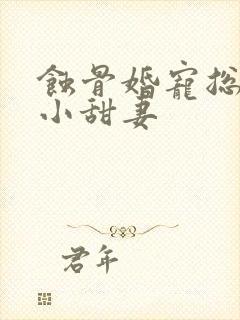 蚀骨婚宠总裁的小甜妻