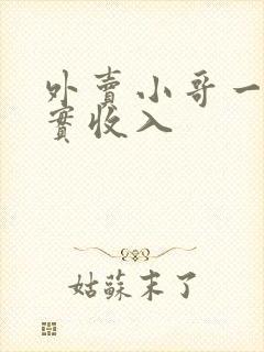 外卖小哥一月真实收入